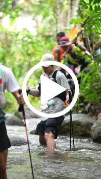 BIB:  <button type="button" onclick="openModal(26820951)" class="btn btn-primary btn-sm float-right" data-toggle="modal" data-target=".modal-high-quality">
                <i class="fa fa-download"></i> Download
                </button>